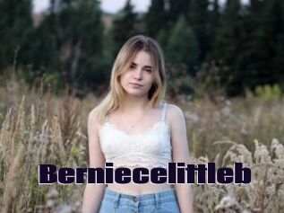 Berniecelittleb