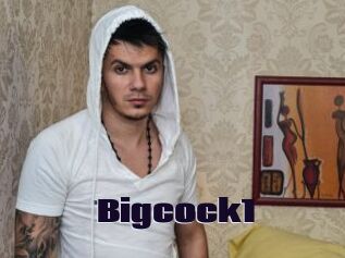 Bigcock1