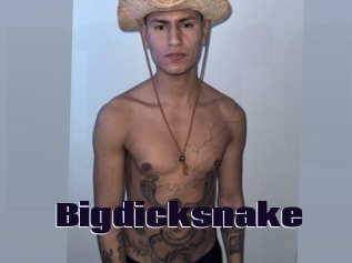 bigdicksnake Prolap Sex