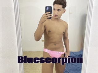 bluescorpion Prolap Sex