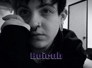 Boicub