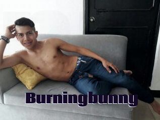 Burningbunny