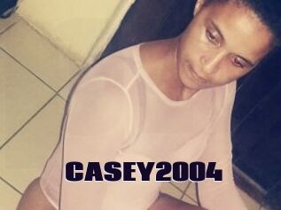 CASEY2004