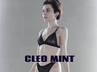 CLEO_MINT