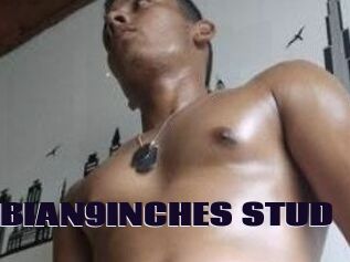 COLOMBIAN9INCHES_STUD