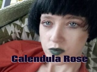 Calendula_Rose