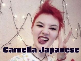 Camelia_Japanese