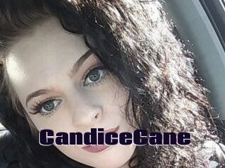 Candice_Cane