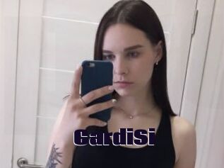 CardiSi