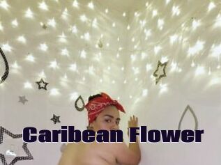 Caribean_Flower