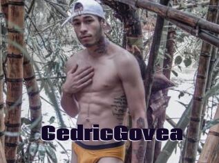 CedricGovea