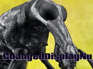 ChangedDisplayNu