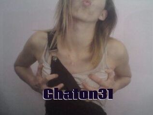 Chaton31