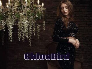 ChloeBird
