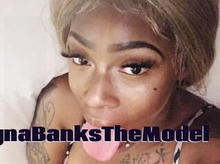 ChynaBanksTheModel