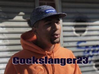Cockslanger23