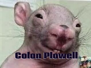 Colon_Plowell