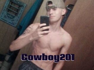 Cowboy201