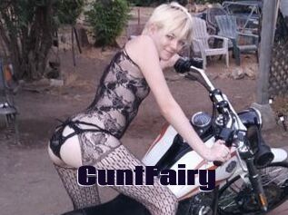 CuntFairy