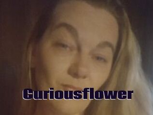Curiousflower
