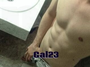 Cal23