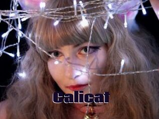 Calicat