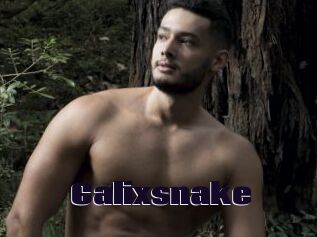 Calixsnake