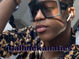 Callmekanaries