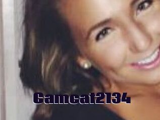 Camcat2134