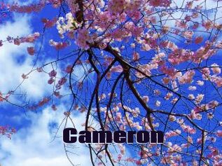 Cameron