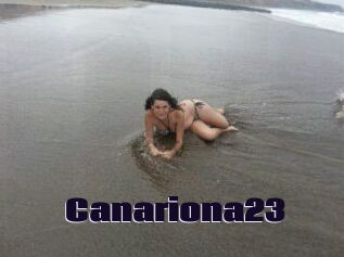 Canariona23