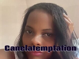 Canelatemptation