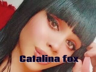 Catalina_fox