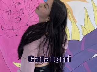 Cataterri