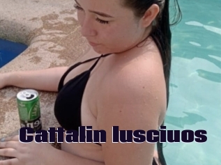 Cattalin_lusciuos