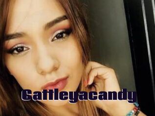 Cattleyacandy