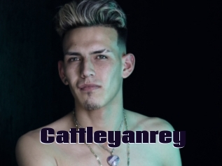 cattleyanrey Prolap Sex