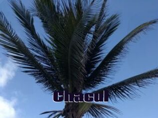 Chacul