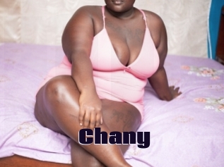 Chany
