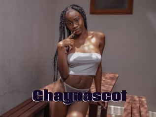 Chaynascot