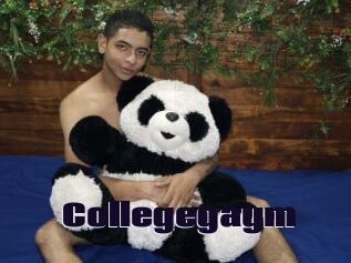 Collegegaym