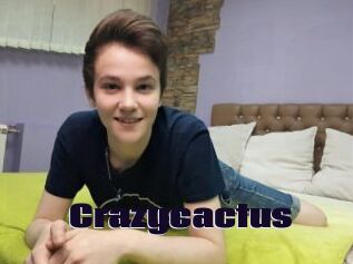 Crazycactus