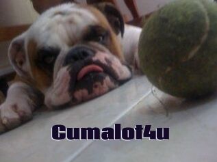 Cumalot4u