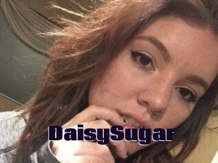 Daisy_Sugar