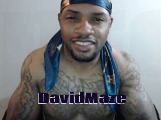 David_Maze