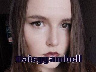 Daisygambell