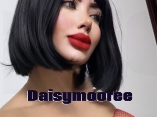 Daisymooree