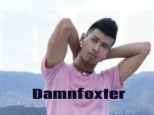 Damnfoxter