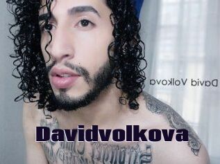 Davidvolkova