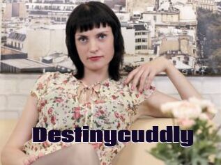 Destinycuddly